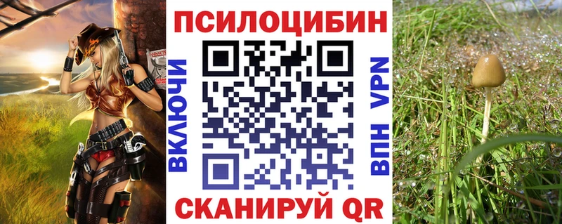 Галлюциногенные грибы Psilocybine cubensis  наркота  Игарка 