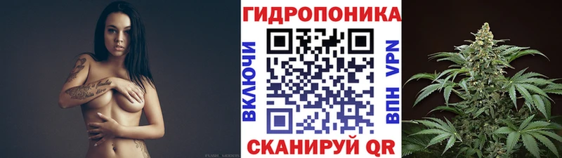 Конопля SATIVA & INDICA  Игарка 